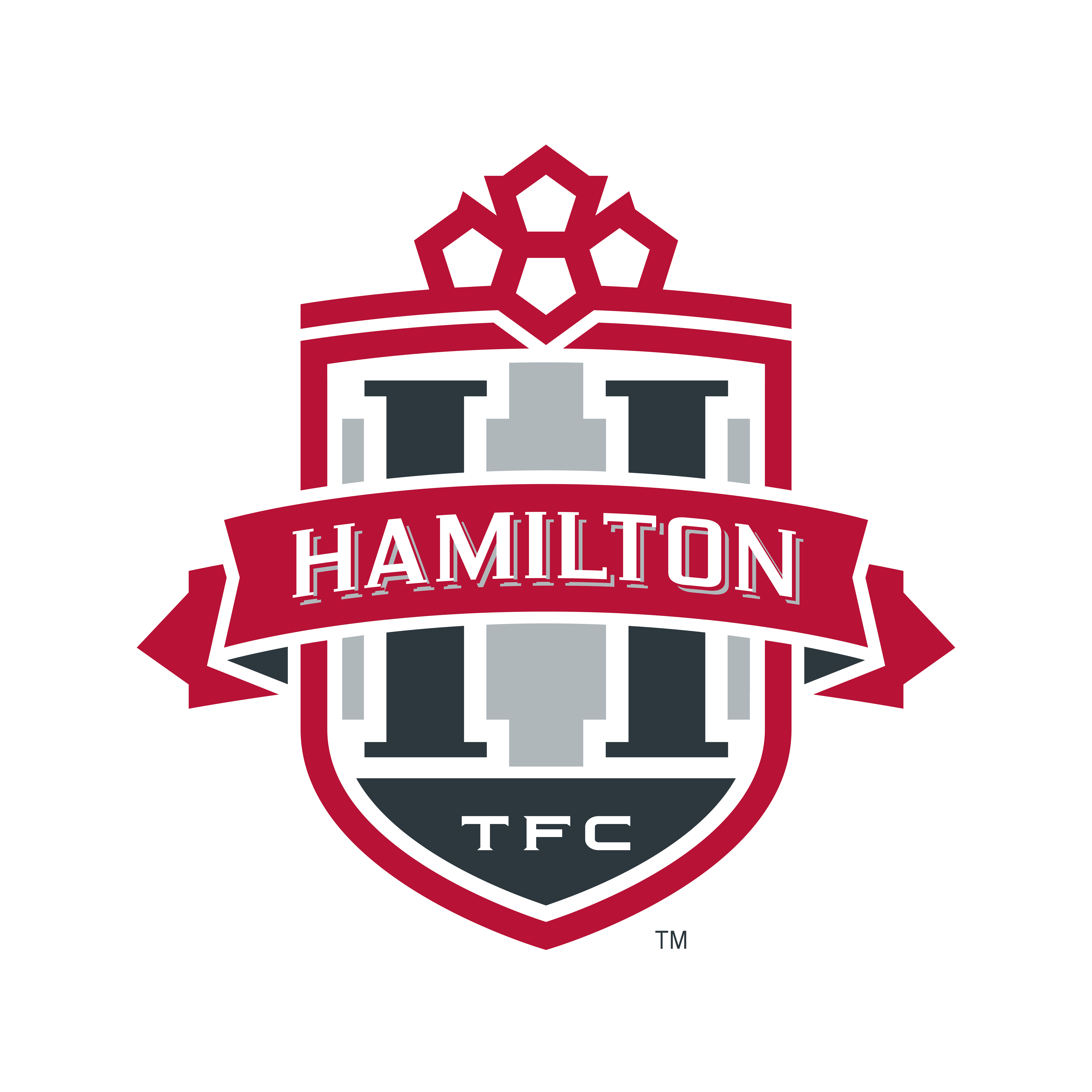 Mount Hamilton Soccer Club